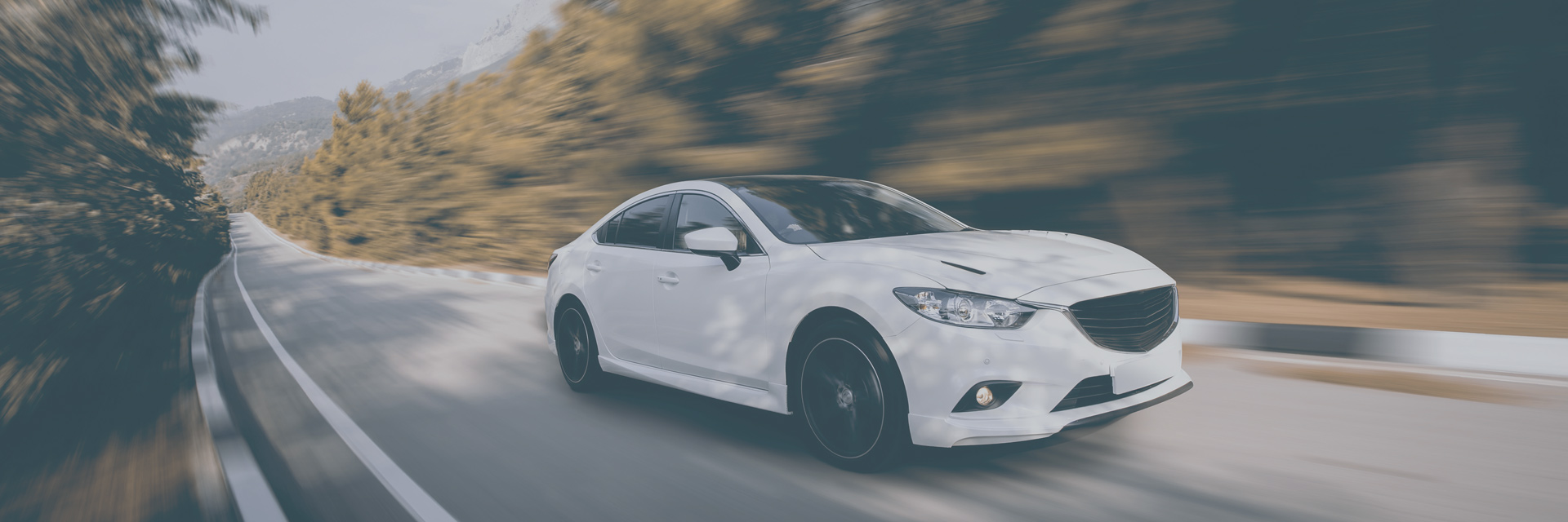 Luxury executive vehicle fleet